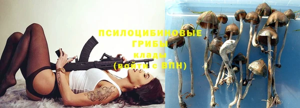 ГАЛЛЮЦИНОГЕННЫЕ ГРИБЫ Костерёво