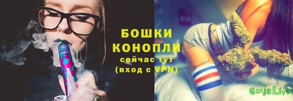 ГАЛЛЮЦИНОГЕННЫЕ ГРИБЫ Костерёво