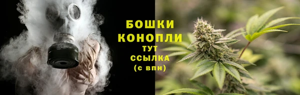 круглые Корсаков