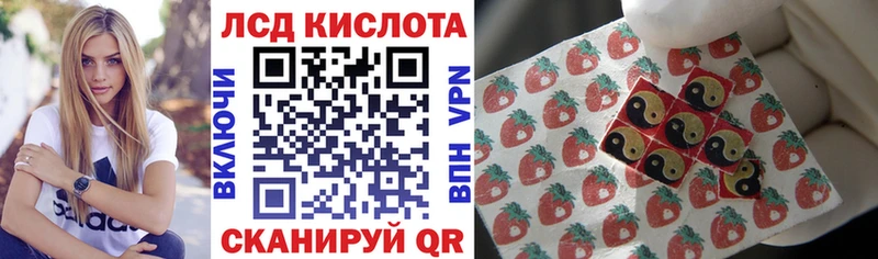 дарнет шоп  Пестово  мега как войти  Наркотические марки 1,8мг 